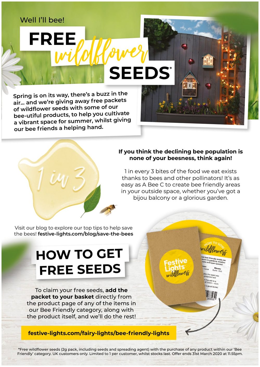 Wildflower seeds campaign for Festive Lights — copy by Jenny Hardy